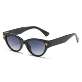 (6 PACK) Wholesale Sunglasses Fashion Cat Eye Unique Women New Arrival Leopard Head Street 2024 - BulkSunglassesWholesale.com - Black Frame Gradient Black